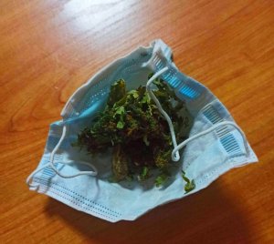 Na zdjęciu widoczna jest maseczka ochronna jednorazowa wraz z suszem roślinnym