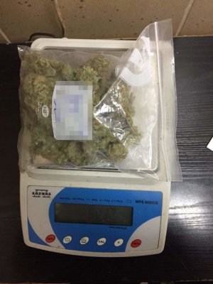 Zabezpieczona marihuana