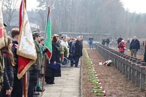 W hołdzie zamordowanym w Palmirach