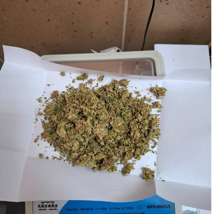 Zabezpieczona marihuana