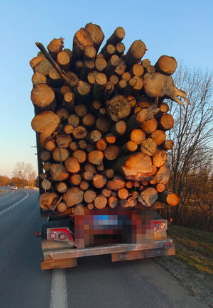 Kontrola drogowa zestawu pojazdów